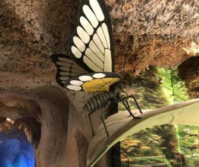 杭州西溪欢乐城室内蝴蝶园 - Hangzhou Happy Valley Mall Indoor Butterfly Park